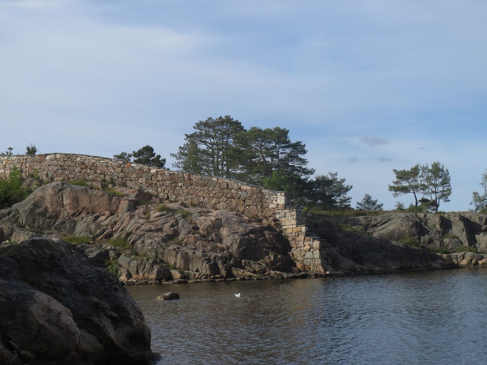 Foto: Carsten R D / Wikimedia Commons, CC BY-SA 4.0 ferdig planert hage med matjord